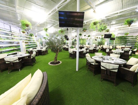 Top Restaurants In Abu Dhabi | مطاعم أبوظبي